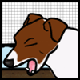 Daisy yawning]
