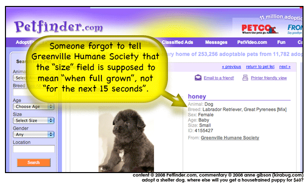 For example, there's no great chihuahua