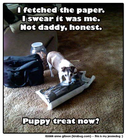 This is my JessieDog, who definitely did not bring in the paper.