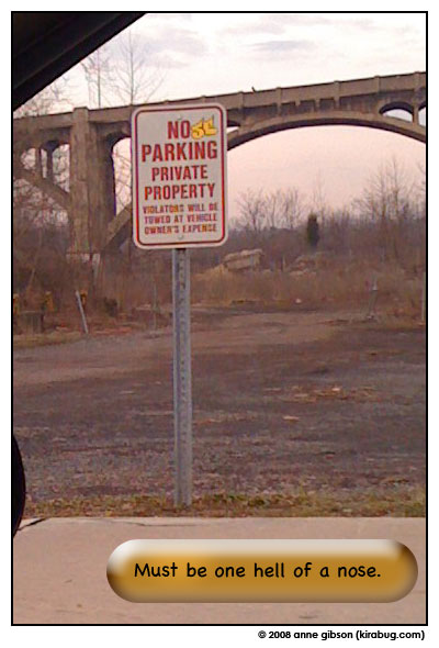 Nose parking?