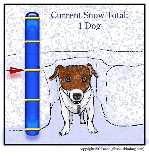 one dog of snow