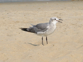 beach!