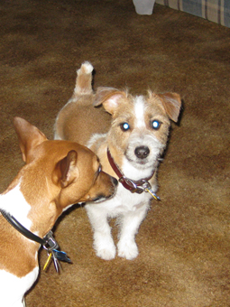trim kaylee (and Chance)